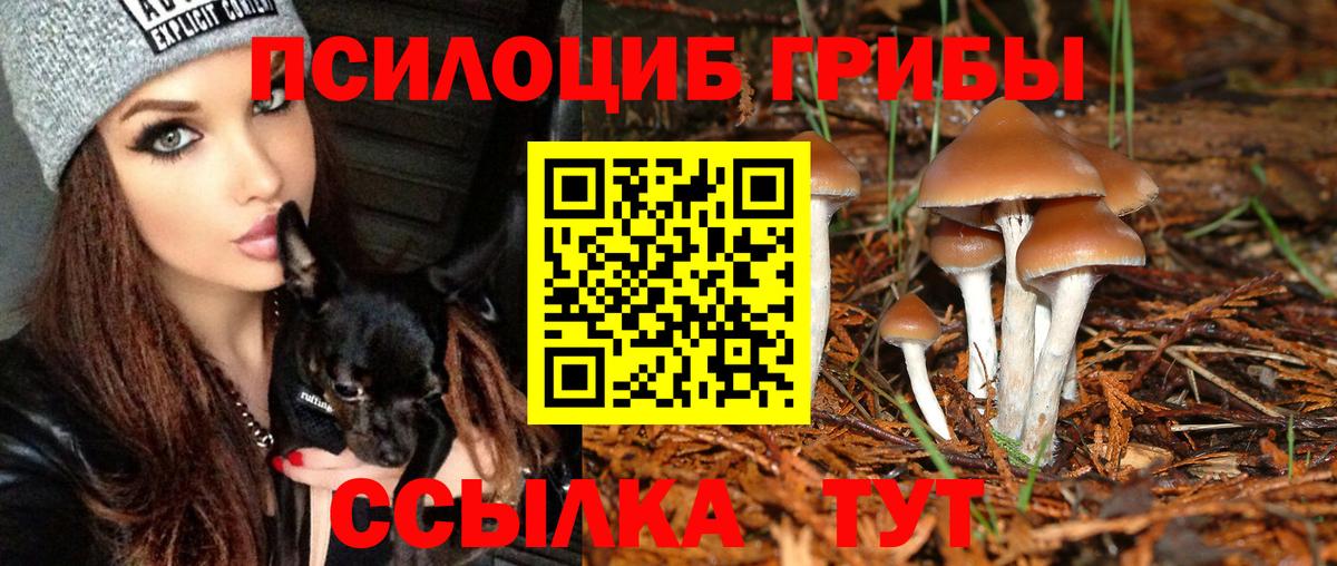 Псилоцибиновые грибы ЛСД  Псилоцибиновые грибы мухоморы  Вход с VPN  Осинники 