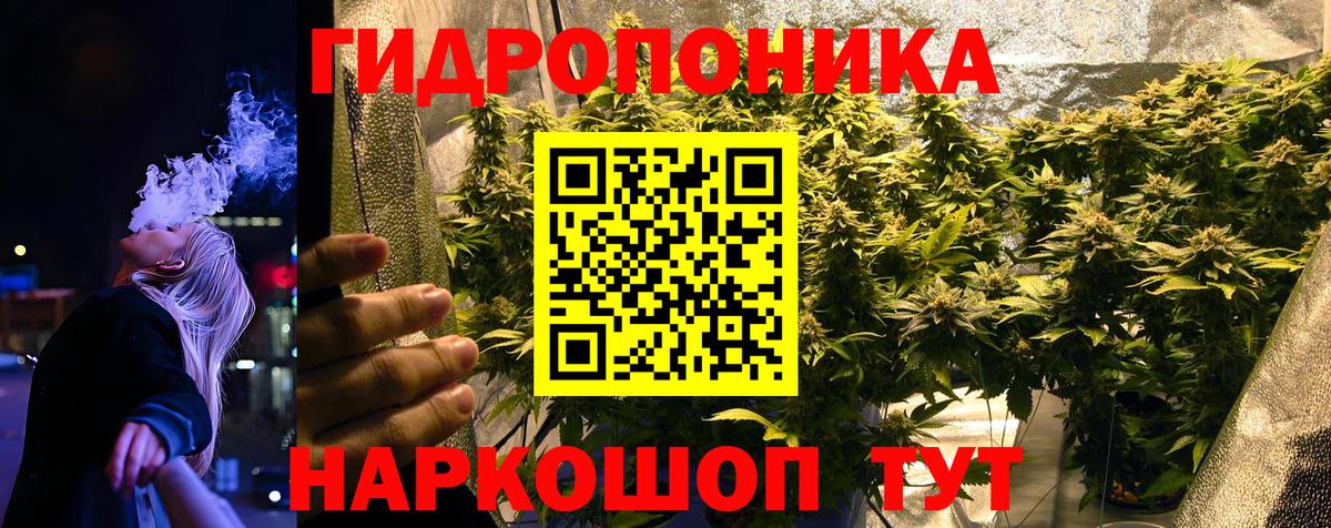 МАРИХУАНА Bruce Banner Осинники